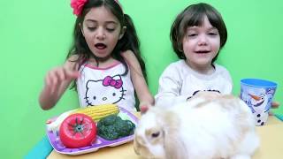 Heidi Play with Food Vegetables toys HZHtube kids fun [upl. by Ahseiym212]