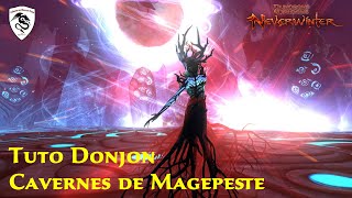 Neverwinter  Mod 15  Donjon Les Cavernes Magepeste épique MSP [upl. by Lucretia918]