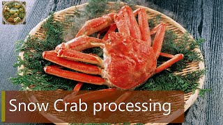 Snow Crab processing process in the factory  Processing Factory [upl. by Odericus302]