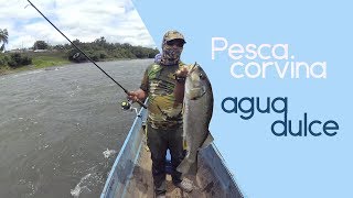 🐟 Pesca de Corvina de agua dulce en Ecuador 2018 [upl. by Zul]