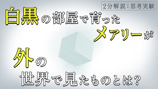 【思考実験】メアリーの部屋│クオリアの存在と物理主義に対する知識論法【古典解説】【パラドックス】 [upl. by Anelah]