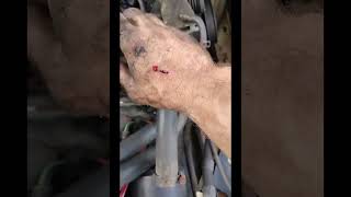 Ford f150 engine removal [upl. by Drexler]