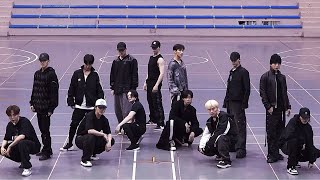 SEVENTEEN  Super 손오공 Dance Practice Mirrored [upl. by Batchelor]