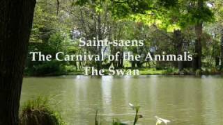 The Carnival of the Animals  The Swan [upl. by Hannavas]