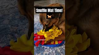 Snuffle Mats The Best Enrichment For Your Puppy [upl. by Ymorej]