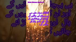 Surha Rahman Ayat no 41سورہ رحمٰن ایت 14 trending shortsfeed shortsviral shortvideo [upl. by Aehc]