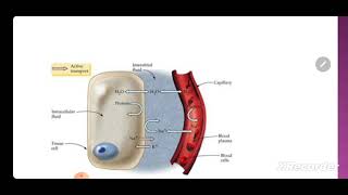 practical physiology of normal structure module Part 1 2025  Ficks principle [upl. by Dorcas553]