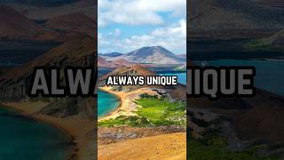 Galápagos Islands Surprising Facts [upl. by Alakcim]