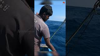 Catching Blacktip Trevally Fish in the Sea [upl. by Baumann499]