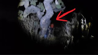 ME ATACAN LAS BRUJAS EN LA SIERRA 😱 EXPLORACION URBANA PARTE 1 [upl. by Sigvard950]