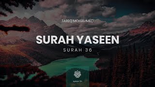 Surah Yaseen  QariTareqMohammed  سورة يس  القارئ طارق محمد Quran recitation [upl. by Mcleroy926]