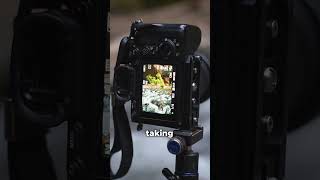 How to get sharp trees and blurry water in landscape photography [upl. by Carlye]