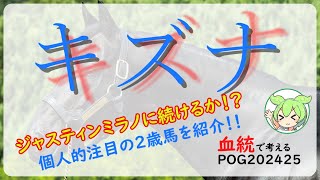 【POG202425】キズナ産駒の狙い方と注目馬！！キズナ産駒が大活躍中！！全盛期に突入か！？ [upl. by Eeclehc]