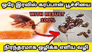 ஒரே இரவில் கரப்பான் பூச்சியை அழிக்க  KARAPPAN POOCHI VARAMAL IRUKA TIPS IN TAMIL ENNA SEIYA VENDUM [upl. by Ilenna]