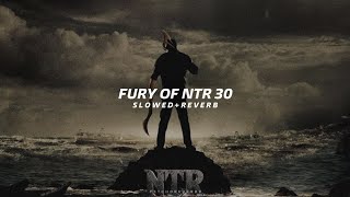 Fury of NTR 30  Slowed  Reverb  Jnr NTR  Anirudh [upl. by Areip]