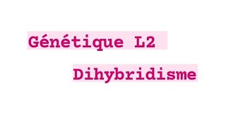 Génétique  Dihybridisme  gène liée et indépendant [upl. by Deva]