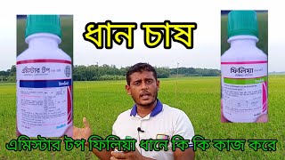 ধানের ব্লাস্ট ও খোল পচার সমাধান [upl. by Hanny]