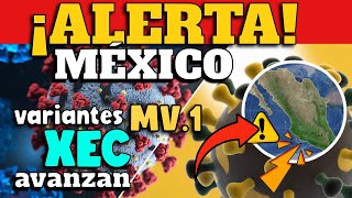 ALERTA EN MÉXICO  VARIANTES MV1 Y XEC AVANZAN [upl. by Willette]