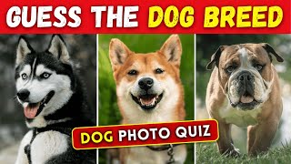 Guess What DOG It Is 🐶 Can You Identify All the Dog Breeds [upl. by Armilda640]