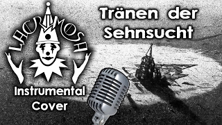 ►Lacrimosa  Tränen der Sehnsucht  KaraokeINSTRUMENTAL cover like LIVE version [upl. by Beverly]