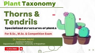 Thorns Tendrils amp Phylloclade  Specialized structures of plants  Dr Praveen Mohil [upl. by Anahsat894]