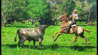 Ganadería La Valentina para Galeras 2024 [upl. by Nho]