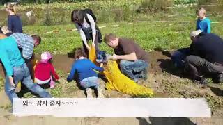 독일 베를린 감자 축제 Kartoffelfest 시민들이 함께 즐기는 도시농업 [upl. by Prouty]