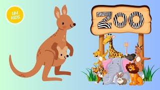 Kangaroo Cartoon  Kids Cartoon  Animal Learning [upl. by Gittle]