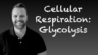 Cellular Respiration Glycolysis and Anaerobic Fermentation for AP Biology and College Biology [upl. by Einre1]