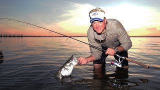 Snook Fishing under Docks with DOA Shrimp in Stuart Florida [upl. by Reh]