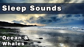 Whale Sounds amp Ocean Waves  Soothing Sleep Sounds  White Noise Sound  Peaceful Whale Song [upl. by Novyart]