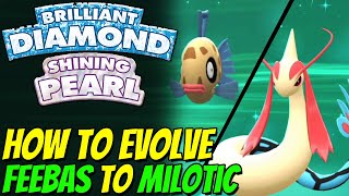 How to evolve FEEBAS to MILOTIC in Pokemon Brilliant Diamond and Shining Pearl [upl. by Aikam131]