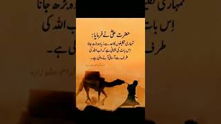 Hazrat Ali RA🥀 quotes💕🤗🥀yt shortviral short [upl. by Mandi]