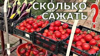 СКОЛЬКО САЖАТЬ ОВОЩЕЙ НА СЕМЬЮ ИЗ 6 ЧЕЛОВЕК [upl. by Bilicki]