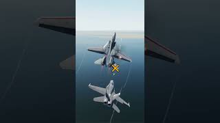 F14 Overshoots FA18 Instantly Regrets it dcs simulation [upl. by Nnarual]