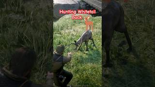 Hunting Whitetail Buck RDR2rdrrdr2whitetailbuckreddeadredemtion2arthurmorganhorseshortsbucks [upl. by Areis]