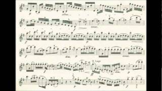 Haydn Joseph 4th violin concerto in Gdur [upl. by Attey]