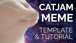 How to Make the Cat Vibing Meme CatJam Green Screen Meme Template [upl. by Ahsiek]