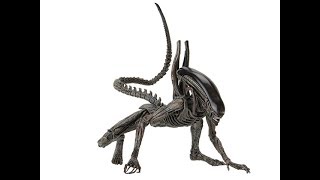 NECA Alien Covenant Xenomorph [upl. by Sonafets]