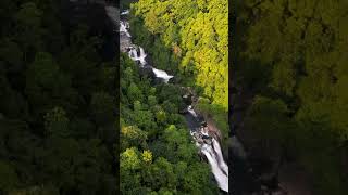 Secret Waterfall in Kitulgala Rainforests [upl. by Larentia]