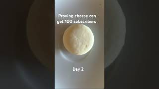 Proving cheese can get 100 subscribers [upl. by Weisberg]