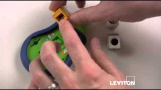 How to Use a Leviton Palm Termination Tool [upl. by Enoryt344]