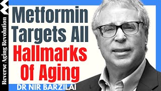 METFORMIN Targets ALL Hallmarks Of AGING  Dr Nir Barzilai Interview Clips [upl. by Aryhs]