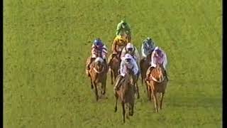 2002 Stan James Challow Novices Hurdle [upl. by Akemihs]