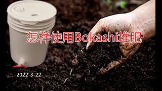 怎样使用Bokashi堆肥 How to use Bokashi compost2224有机肥制做篇2022322 [upl. by Robet890]