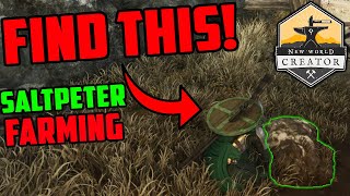 Farming Saltpeter in New World  Easy Way To Farm Gold in New World [upl. by Ellenid]