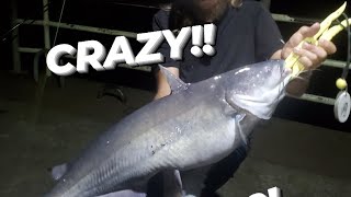 Whats Wrong with these Catfish Catfishing BIG dams MYSTERIOUS RIVER MONSTER [upl. by Ruvolo950]