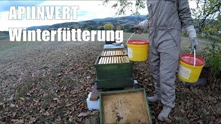 Bienen einfüttern mit APIInvert  ct0f 13 [upl. by Aekim]