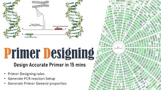 PCR Primer Designing  NCBI Primer BLAST  In silico PCR primer designing and validation [upl. by Adam]