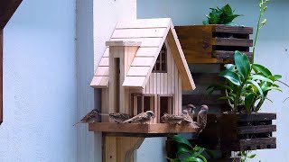 Build Easy Wooden Bird House and Bird Feeder [upl. by Blakelee330]